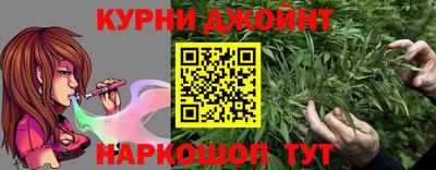 apvp Новодвинск